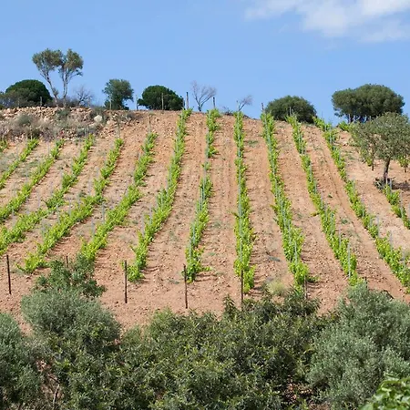 Le Di Tenute Filaris * Villasimius