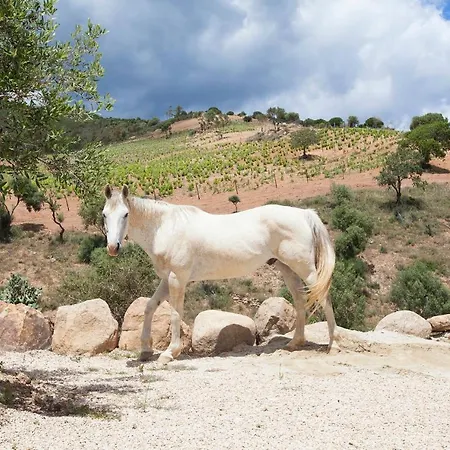 Le Di Tenute Filaris Villasimius