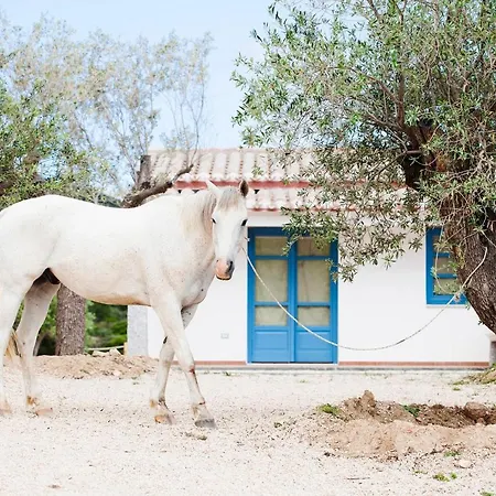 Guest house Le Di Tenute Filaris Villasimius